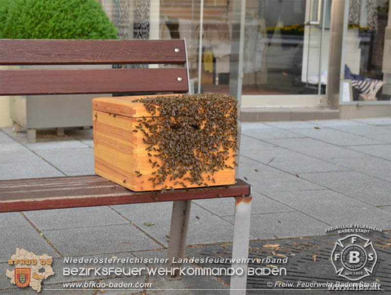 20190531 Bienenschwarm sorgte fr groe Aufregung in der Badener Fugngerzone  Foto:  Freiwillige Feuerwehr Baden-Stadt 