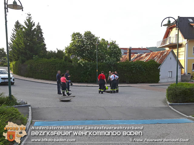 20190601 Tierrettung in Berndorf  Foto:  Florian Stadler FF Berndorf-Stadt