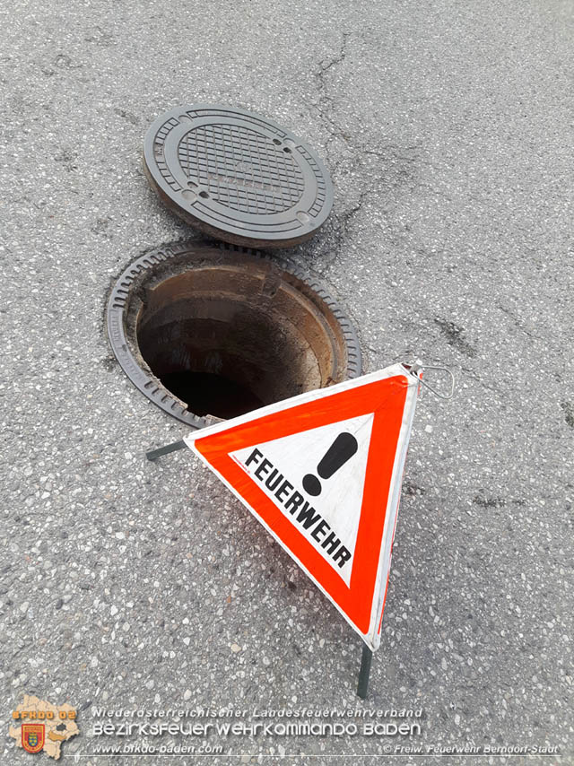 20190601 Tierrettung in Berndorf Foto: © Florian Stadler FF Berndorf-Stadt 20190601 Tierrettung in Berndorf Foto: © Florian Stadler FF Berndorf-Stadt