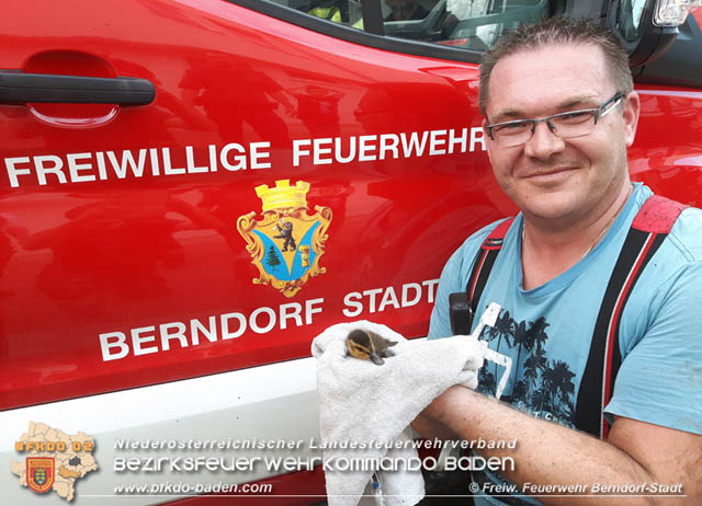 20190601 Tierrettung in Berndorf  Foto:  Florian Stadler FF Berndorf-Stadt