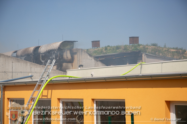 20190614 Grobrand Leobersdorf - Fotos: Bernd Taxberger, FF Leobersdorf, FF Bad Vslau