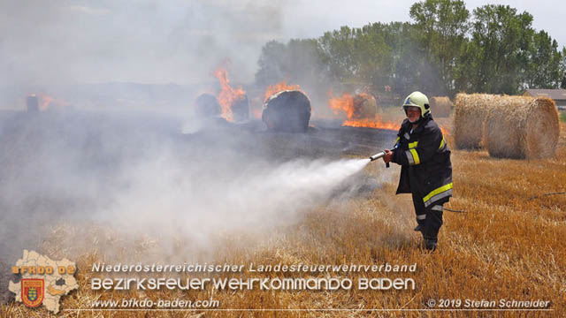 20190705 Abgeerntetes Feld sowie mehrere Rund-Stroballen bei Weigelsdorf abgebrannt  Foto:  Stefan Schneider BFK Baden