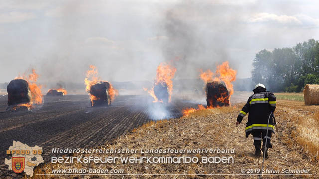 20190705 Abgeerntetes Feld sowie mehrere Rund-Stroballen bei Weigelsdorf abgebrannt Foto: © Stefan Schneider BFK Baden 20190705 Abgeerntetes Feld sowie mehrere Rund-Stroballen bei Weigelsdorf abgebrannt Foto: © Stefan Schneider BFK Baden
