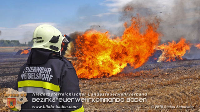 20190705 Abgeerntetes Feld sowie mehrere Rund-Stroballen bei Weigelsdorf abgebrannt  Foto:  Stefan Schneider BFK Baden