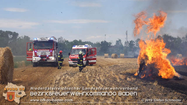 20190705 Abgeerntetes Feld sowie mehrere Rund-Stroballen bei Weigelsdorf abgebrannt Foto: © Stefan Schneider BFK Baden 20190705 Abgeerntetes Feld sowie mehrere Rund-Stroballen bei Weigelsdorf abgebrannt Foto: © Stefan Schneider BFK Baden