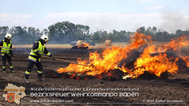 20190705 Abgeerntetes Feld sowie mehrere Rund-Stroballen bei Weigelsdorf abgebrannt  Foto:  Stefan Schneider BFK Baden