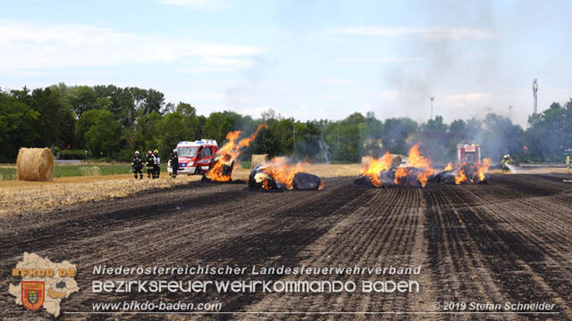 20190705 Abgeerntetes Feld sowie mehrere Rund-Stroballen bei Weigelsdorf abgebrannt  Foto:  Stefan Schneider BFK Baden