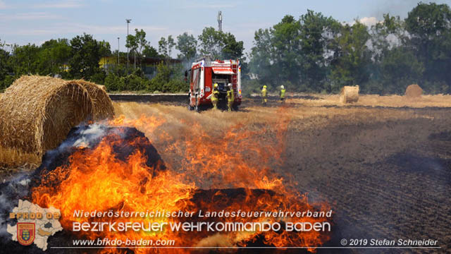 20190705 Abgeerntetes Feld sowie mehrere Rund-Stroballen bei Weigelsdorf abgebrannt  Foto:  Stefan Schneider BFK Baden