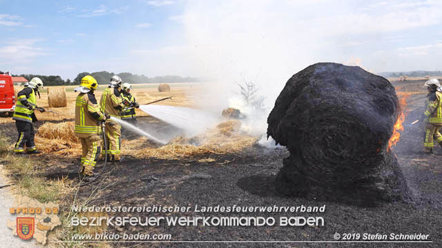 20190705 Abgeerntetes Feld sowie mehrere Rund-Stroballen bei Weigelsdorf abgebrannt  Foto:  Stefan Schneider BFK Baden