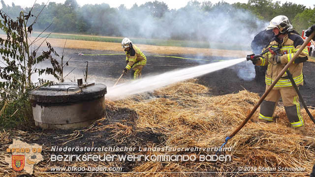 20190705 Abgeerntetes Feld sowie mehrere Rund-Stroballen bei Weigelsdorf abgebrannt  Foto:  Stefan Schneider BFK Baden