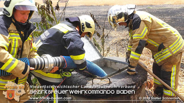 20190705 Abgeerntetes Feld sowie mehrere Rund-Stroballen bei Weigelsdorf abgebrannt  Foto:  Stefan Schneider BFK Baden