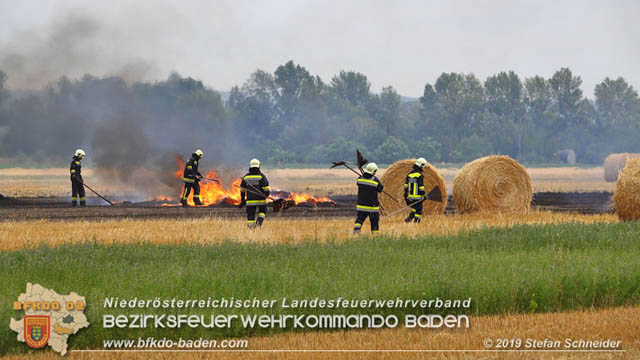 20190705 Abgeerntetes Feld sowie mehrere Rund-Stroballen bei Weigelsdorf abgebrannt  Foto:  Stefan Schneider BFK Baden