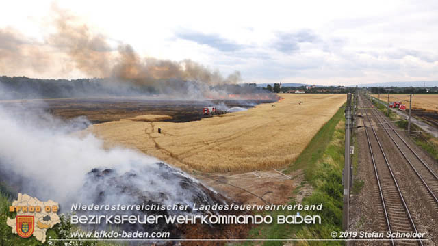 20190705 Feuerwehren aus dem Bezirk Baden untersttzen bei 35 Hektar Getreidefeld in Flammen  Foto:  Stefan Schneider BFK Baden