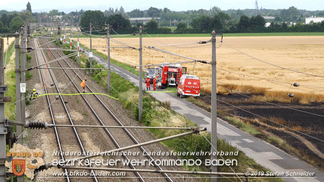 20190705 Feuerwehren aus dem Bezirk Baden untersttzen bei 35 Hektar Getreidefeld in Flammen  Foto:  Stefan Schneider BFK Baden