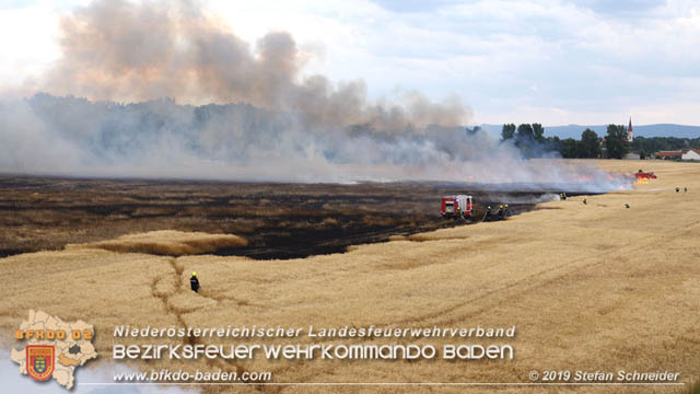 20190705 Feuerwehren aus dem Bezirk Baden untersttzen bei 35 Hektar Getreidefeld in Flammen  Foto:  Stefan Schneider BFK Baden