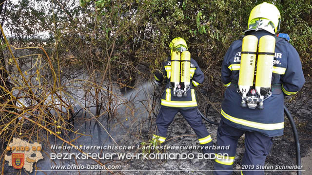 20190705 Feuerwehren aus dem Bezirk Baden untersttzen bei 35 Hektar Getreidefeld in Flammen  Foto:  Stefan Schneider BFK Baden