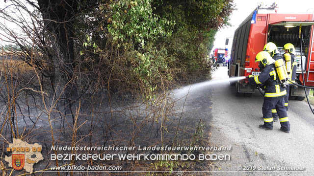 20190705 Feuerwehren aus dem Bezirk Baden untersttzen bei 35 Hektar Getreidefeld in Flammen  Foto:  Stefan Schneider BFK Baden