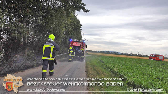 20190705 Feuerwehren aus dem Bezirk Baden untersttzen bei 35 Hektar Getreidefeld in Flammen  Foto:  Stefan Schneider BFK Baden