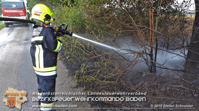 20190705 Feuerwehren aus dem Bezirk Baden untersttzen bei 35 Hektar Getreidefeld in Flammen  Foto:  Stefan Schneider BFK Baden