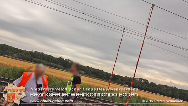 20190705 Feuerwehren aus dem Bezirk Baden untersttzen bei 35 Hektar Getreidefeld in Flammen  Foto:  Stefan Schneider BFK Baden