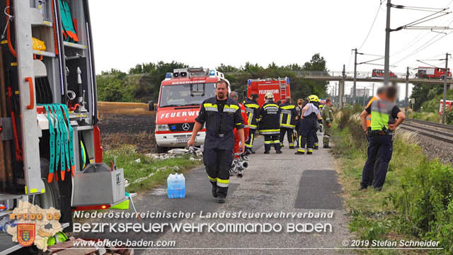 20190705 Feuerwehren aus dem Bezirk Baden untersttzen bei 35 Hektar Getreidefeld in Flammen  Foto:  Stefan Schneider BFK Baden