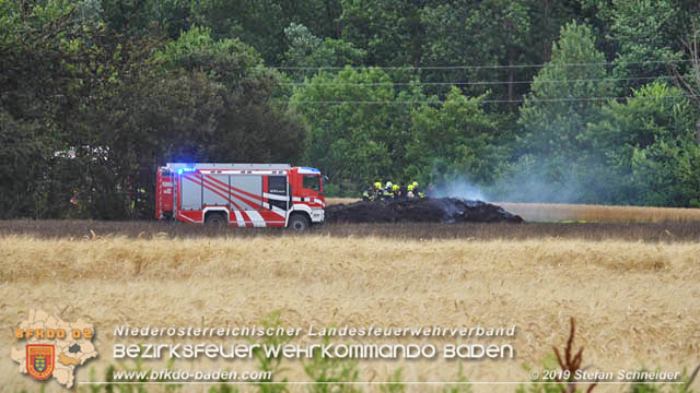 20190705 Feuerwehren aus dem Bezirk Baden untersttzen bei 35 Hektar Getreidefeld in Flammen  Foto:  Stefan Schneider BFK Baden