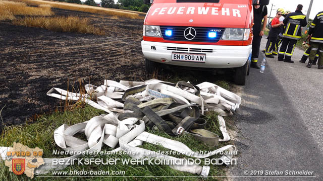 20190705 Feuerwehren aus dem Bezirk Baden untersttzen bei 35 Hektar Getreidefeld in Flammen  Foto:  Stefan Schneider BFK Baden