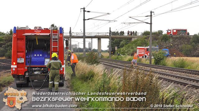 20190705 Feuerwehren aus dem Bezirk Baden untersttzen bei 35 Hektar Getreidefeld in Flammen  Foto:  Stefan Schneider BFK Baden