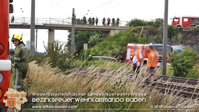 20190705 Feuerwehren aus dem Bezirk Baden untersttzen bei 35 Hektar Getreidefeld in Flammen  Foto:  Stefan Schneider BFK Baden