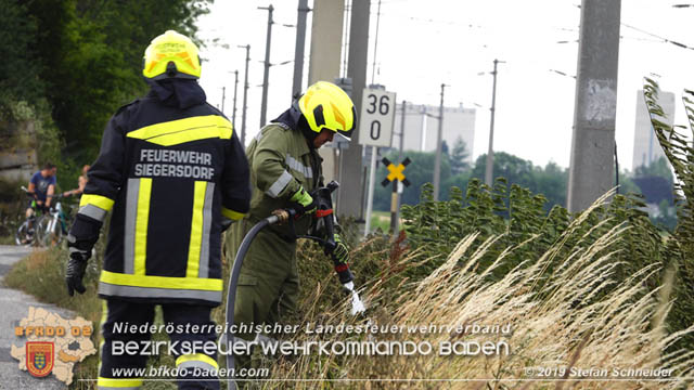 20190705 Feuerwehren aus dem Bezirk Baden untersttzen bei 35 Hektar Getreidefeld in Flammen  Foto:  Stefan Schneider BFK Baden