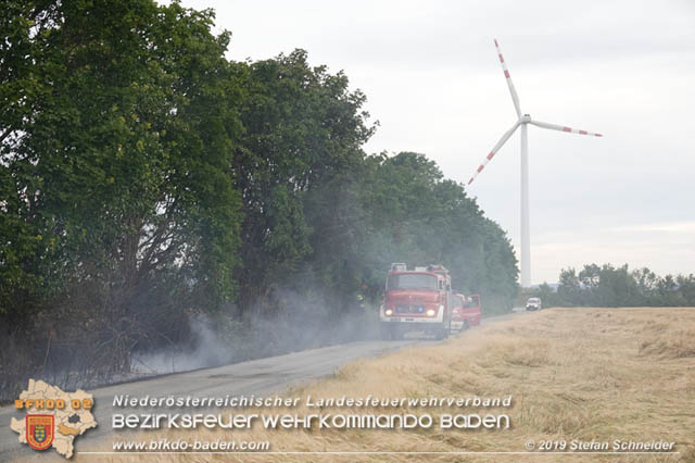 20190705 Feuerwehren aus dem Bezirk Baden untersttzen bei 35 Hektar Getreidefeld in Flammen  Foto:  Stefan Schneider BFK Baden