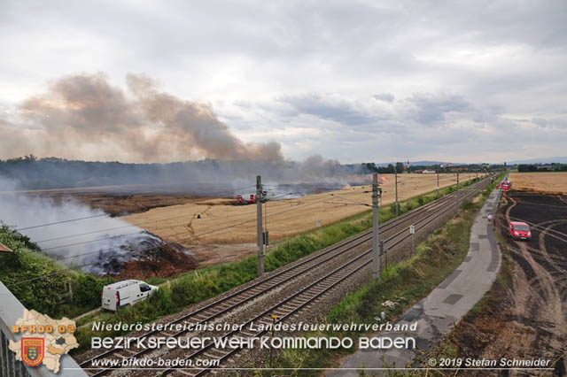 20190705 Feuerwehren aus dem Bezirk Baden untersttzen bei 35 Hektar Getreidefeld in Flammen  Foto:  Stefan Schneider BFK Baden