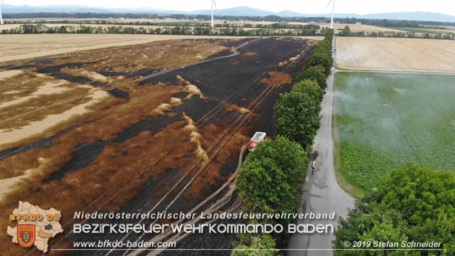 20190705 Feuerwehren aus dem Bezirk Baden untersttzen bei 35 Hektar Getreidefeld in Flammen  Foto:  Stefan Schneider BFK Baden