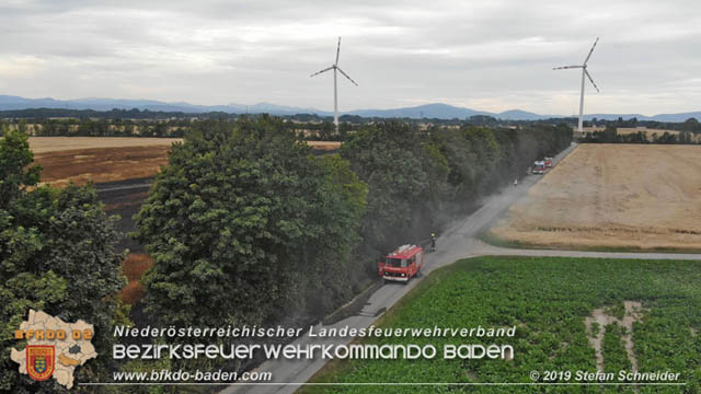 20190705 Feuerwehren aus dem Bezirk Baden untersttzen bei 35 Hektar Getreidefeld in Flammen  Foto:  Stefan Schneider BFK Baden