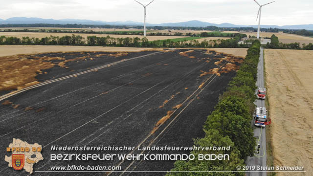 20190705 Feuerwehren aus dem Bezirk Baden untersttzen bei 35 Hektar Getreidefeld in Flammen  Foto:  Stefan Schneider BFK Baden