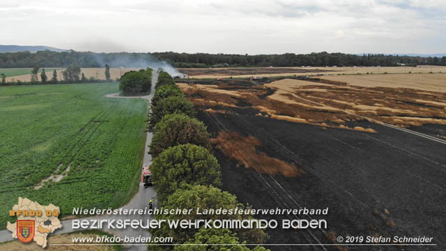 20190705 Feuerwehren aus dem Bezirk Baden unterstützen bei 35 Hektar Getreidefeld in Flammen Foto: © Stefan Schneider BFK Baden 20190705 Feuerwehren aus dem Bezirk Baden unterstützen bei 35 Hektar Getreidefeld in Flammen Foto: © Stefan Schneider BFK Baden
