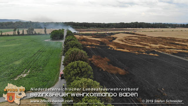 20190705 Feuerwehren aus dem Bezirk Baden untersttzen bei 35 Hektar Getreidefeld in Flammen  Foto:  Stefan Schneider BFK Baden