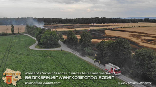 20190705 Feuerwehren aus dem Bezirk Baden unterstützen bei 35 Hektar Getreidefeld in Flammen Foto: © Stefan Schneider BFK Baden 20190705 Feuerwehren aus dem Bezirk Baden unterstützen bei 35 Hektar Getreidefeld in Flammen Foto: © Stefan Schneider BFK Baden