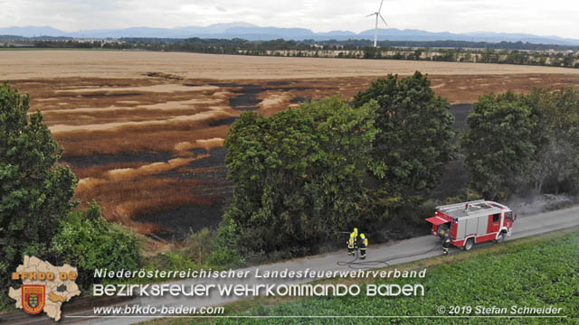 20190705 Feuerwehren aus dem Bezirk Baden untersttzen bei 35 Hektar Getreidefeld in Flammen  Foto:  Stefan Schneider BFK Baden