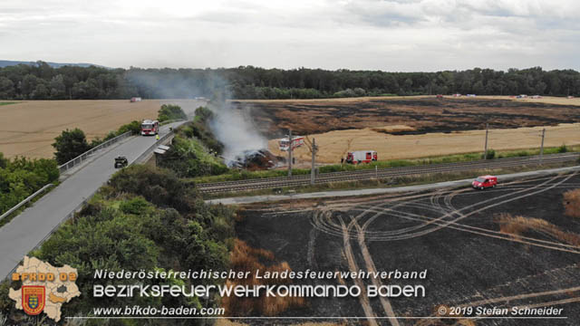 20190705 Feuerwehren aus dem Bezirk Baden untersttzen bei 35 Hektar Getreidefeld in Flammen  Foto:  Stefan Schneider BFK Baden