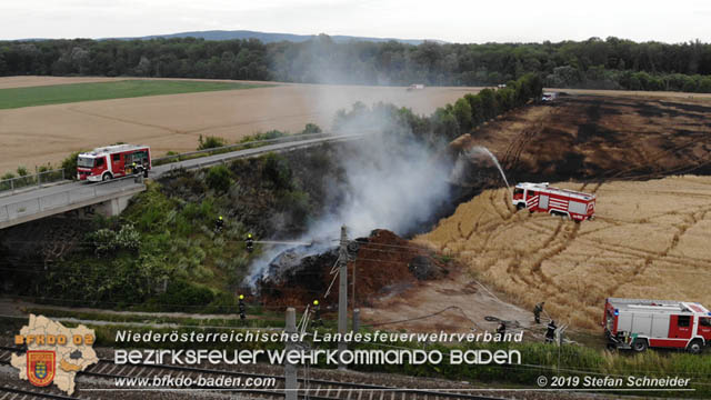 20190705 Feuerwehren aus dem Bezirk Baden untersttzen bei 35 Hektar Getreidefeld in Flammen  Foto:  Stefan Schneider BFK Baden