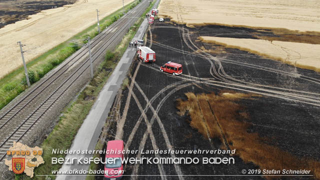 20190705 Feuerwehren aus dem Bezirk Baden unterstützen bei 35 Hektar Getreidefeld in Flammen Foto: © Stefan Schneider BFK Baden 20190705 Feuerwehren aus dem Bezirk Baden unterstützen bei 35 Hektar Getreidefeld in Flammen Foto: © Stefan Schneider BFK Baden