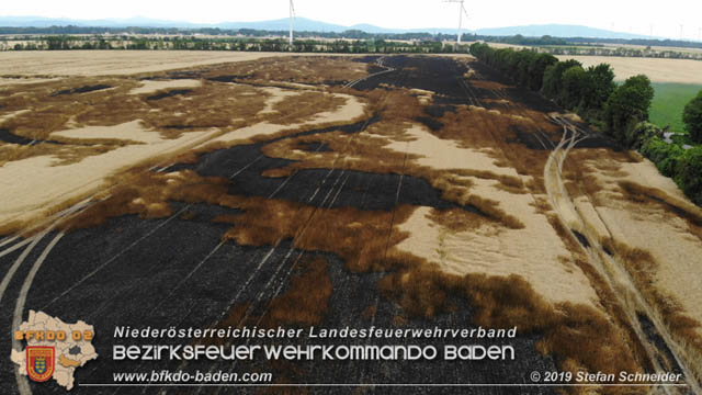 20190705 Feuerwehren aus dem Bezirk Baden unterstützen bei 35 Hektar Getreidefeld in Flammen Foto: © Stefan Schneider BFK Baden 20190705 Feuerwehren aus dem Bezirk Baden unterstützen bei 35 Hektar Getreidefeld in Flammen Foto: © Stefan Schneider BFK Baden