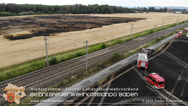 20190705 Feuerwehren aus dem Bezirk Baden untersttzen bei 35 Hektar Getreidefeld in Flammen  Foto:  Stefan Schneider BFK Baden