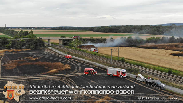 20190705 Feuerwehren aus dem Bezirk Baden untersttzen bei 35 Hektar Getreidefeld in Flammen  Foto:  Stefan Schneider BFK Baden