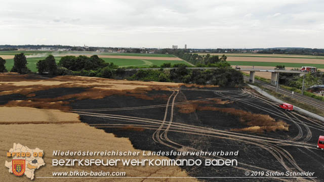 20190705 Feuerwehren aus dem Bezirk Baden untersttzen bei 35 Hektar Getreidefeld in Flammen  Foto:  Stefan Schneider BFK Baden