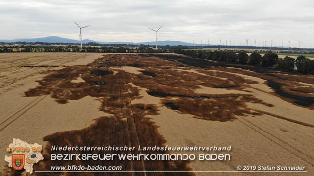 20190705 Feuerwehren aus dem Bezirk Baden unterstützen bei 35 Hektar Getreidefeld in Flammen Foto: © Stefan Schneider BFK Baden 20190705 Feuerwehren aus dem Bezirk Baden unterstützen bei 35 Hektar Getreidefeld in Flammen Foto: © Stefan Schneider BFK Baden