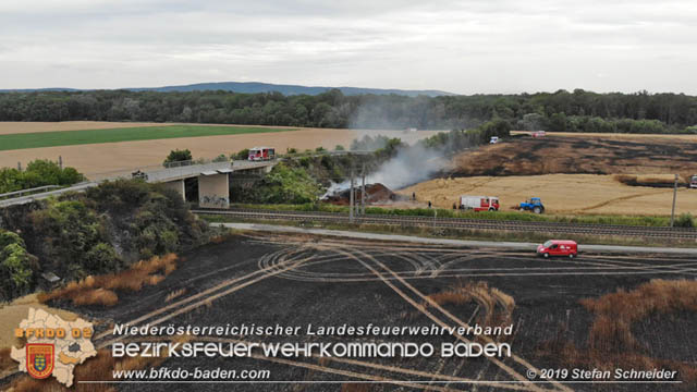 20190705 Feuerwehren aus dem Bezirk Baden untersttzen bei 35 Hektar Getreidefeld in Flammen  Foto:  Stefan Schneider BFK Baden