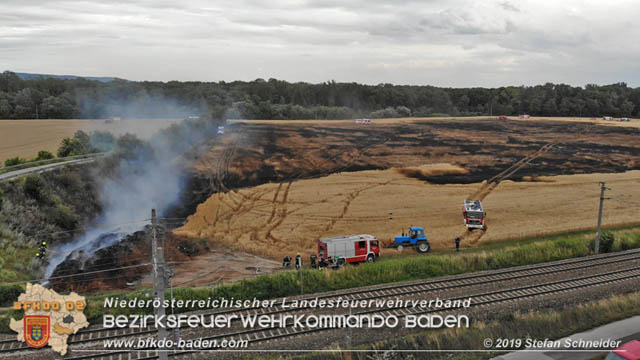 20190705 Feuerwehren aus dem Bezirk Baden untersttzen bei 35 Hektar Getreidefeld in Flammen  Foto:  Stefan Schneider BFK Baden