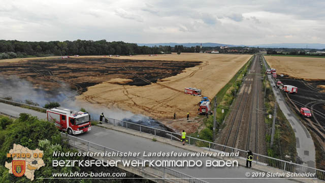 20190705 Feuerwehren aus dem Bezirk Baden unterstützen bei 35 Hektar Getreidefeld in Flammen Foto: © Stefan Schneider BFK Baden 20190705 Feuerwehren aus dem Bezirk Baden unterstützen bei 35 Hektar Getreidefeld in Flammen Foto: © Stefan Schneider BFK Baden